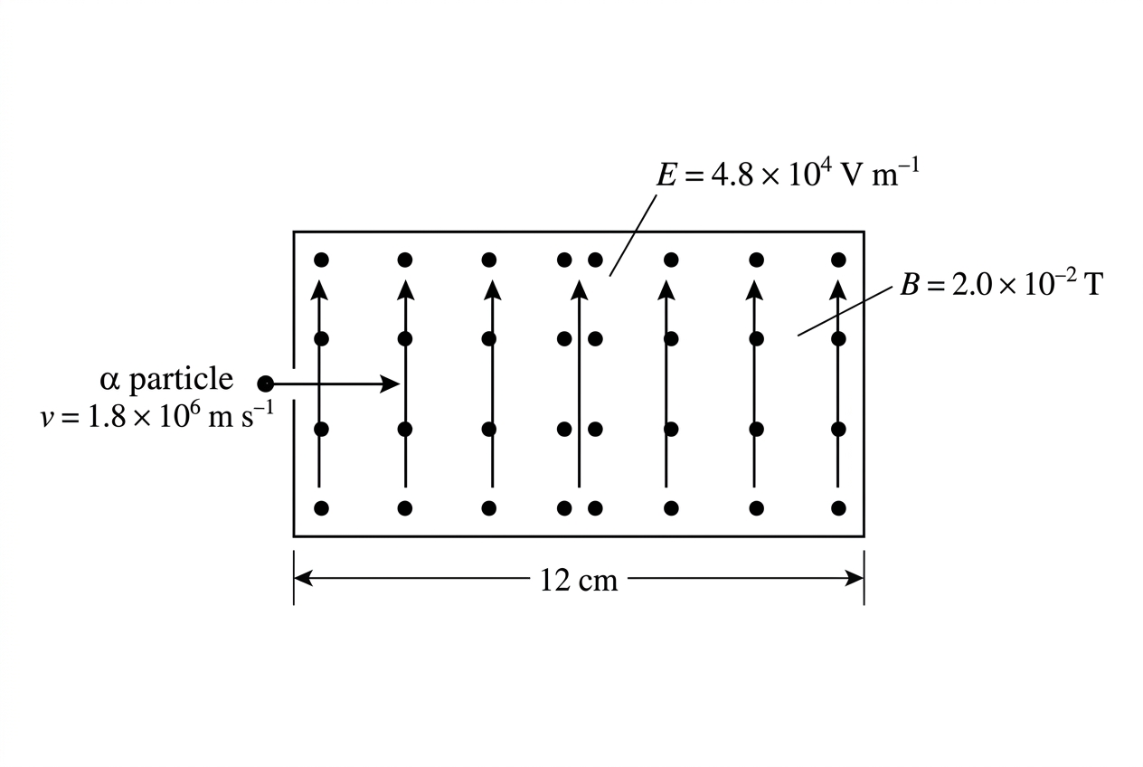 Diagram of crossed electric and magnetic fields in a rectangular region. The electric field arrows point upward and the magnetic field is represented by dots out of the page. An alpha particle enters from the left with a horizontal velocity arrow. The field-region length is labelled. No deflected path is drawn.