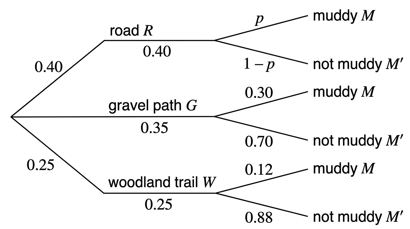 A probability tree with first branches labelled road, gravel path and woodland trail, and second branches labelled muddy and not muddy. The tree should indicate that the muddy probability on the road branch is unknown.