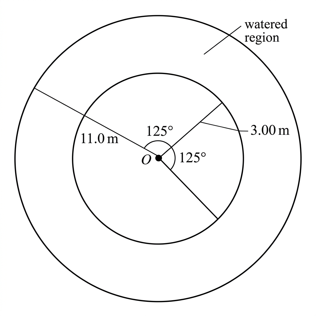 An accurate annular sector diagram centered at O, bounded by exactly two radial boundary rays and the inner and outer circular arcs between them. Show one clearly marked central angle of $125^\circ$ between the two rays. Do not draw complete circles or any additional radial rays. Shade or clearly outline the annular watered region. Label the inner radius as $3.00\ \text{m}$ and the outer radius as $11.0\ \text{m}$ along the appropriate radial segments, with all labels unambiguous.