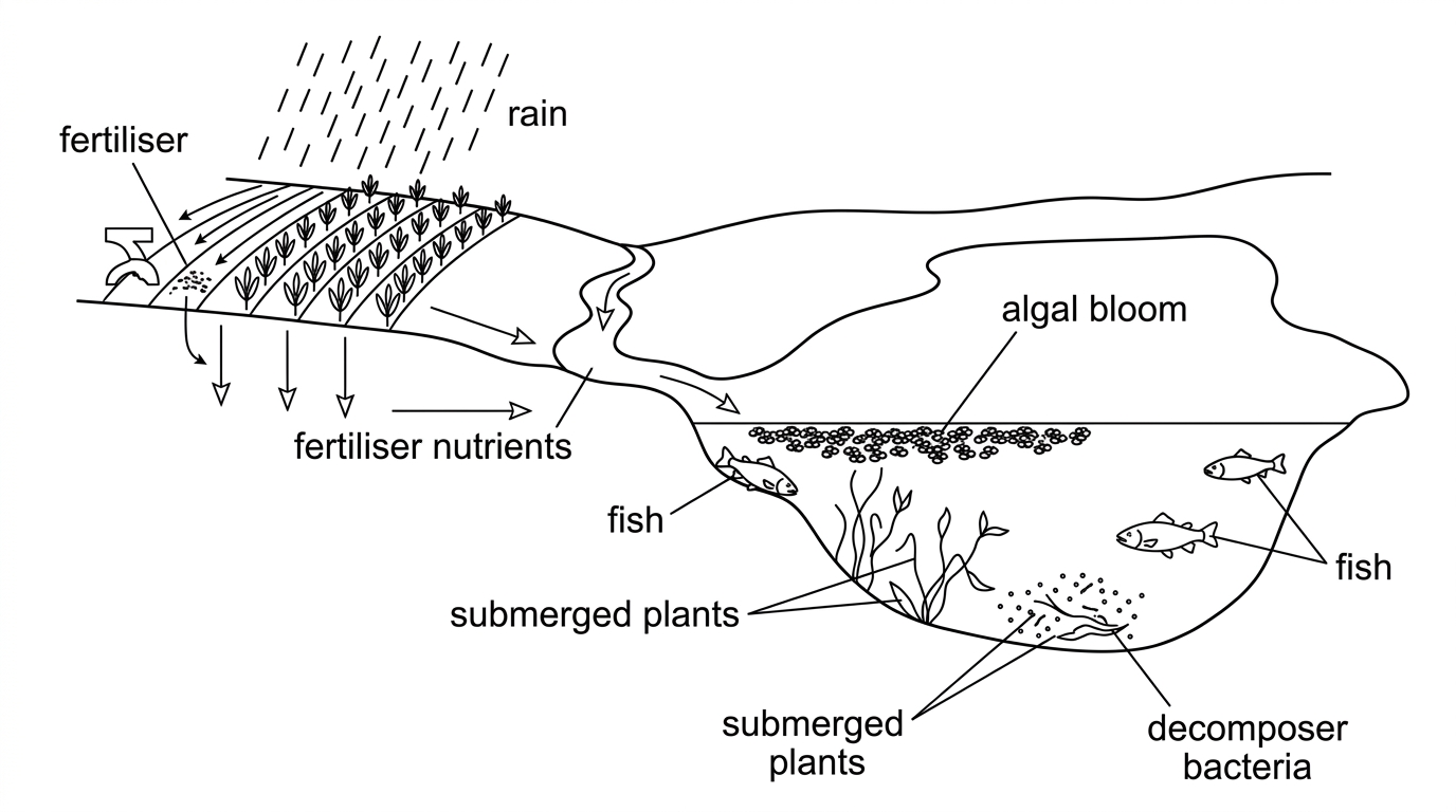Fish Decomper D4.2 Stability and change (Paper 2) - IB Biology Question Bank | Clastify