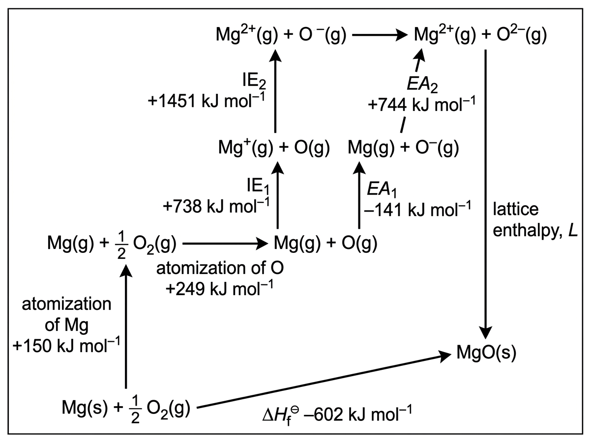 A Born-Haber cycle for magnesium oxide. It shows $Mg(s)$ plus half $O_2(g)$ forming $MgO(s)$ and an alternative route through $Mg(g)$, $O(g)$, $Mg^+(g)$, $Mg^{2+}(g)$, $O^-(g)$, $O^{2-}(g)$, and gaseous $Mg^{2+}$ plus $O^{2-}$ ions. Arrows are labelled for atomization, first and second ionization energies, first and second electron affinities, enthalpy of formation and an unknown lattice enthalpy, $L$, for formation of $MgO(s)$ from gaseous ions.