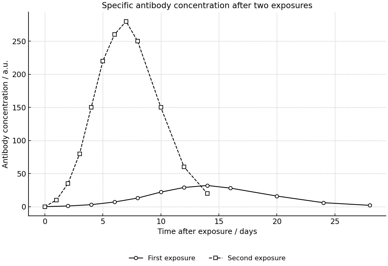Specific antibody concentration after two exposures.
