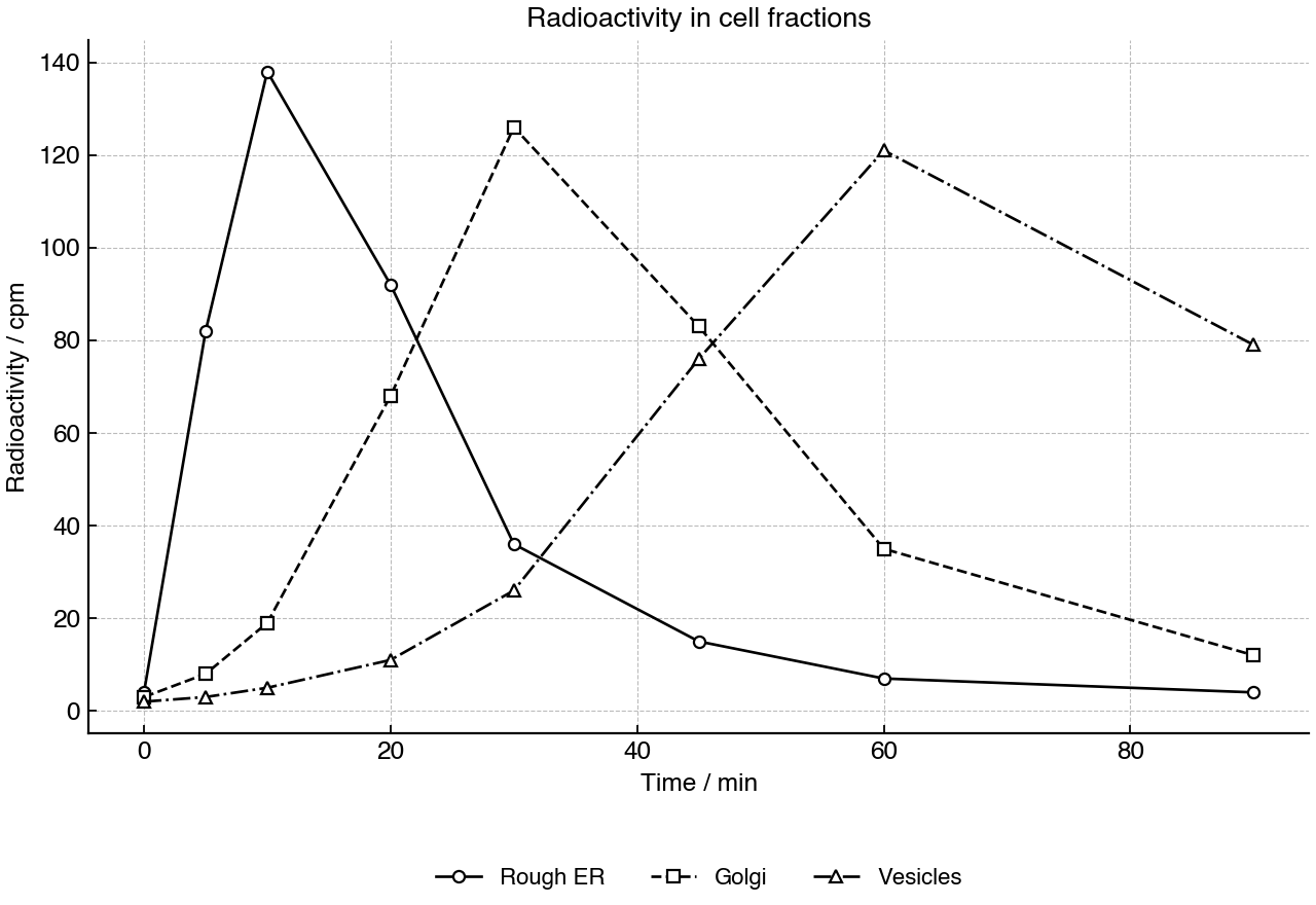 Line graph of radioactivity measured in three cell fractions after a short radioactive amino acid pulse.