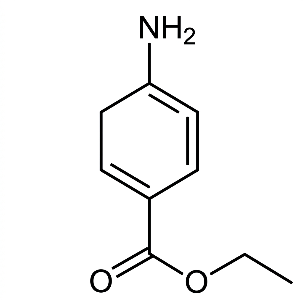 A labelled skeletal formula of an organic molecule containing a benzene ring attached to an ester group and an amino group elsewhere in the side chain. The benzene ring should be clearly shown as a phenyl group, the ester linkage as $C(=O)O$, and the amino group as $NH_2$ bonded to carbon. No labels identifying the functional groups are included.