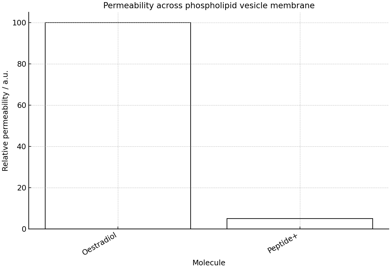 Relative permeability of oestradiol and a charged peptide across a phospholipid vesicle membrane.