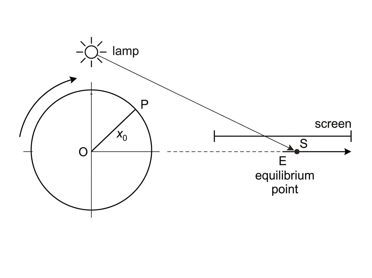 A point moving uniformly around a circle with radius labelled $x_0$. A lamp projects the point onto a horizontal screen so that the shadow moves along a straight line. The centre of the circle projects to the equilibrium point on the screen. A rotating radius is shown, but no equations are printed.