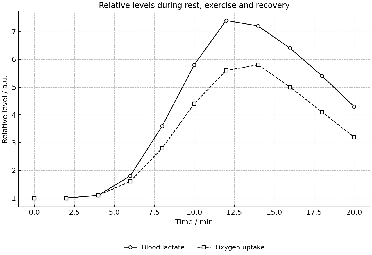 Relative blood lactate concentration and oxygen uptake over rest, exercise and recovery.