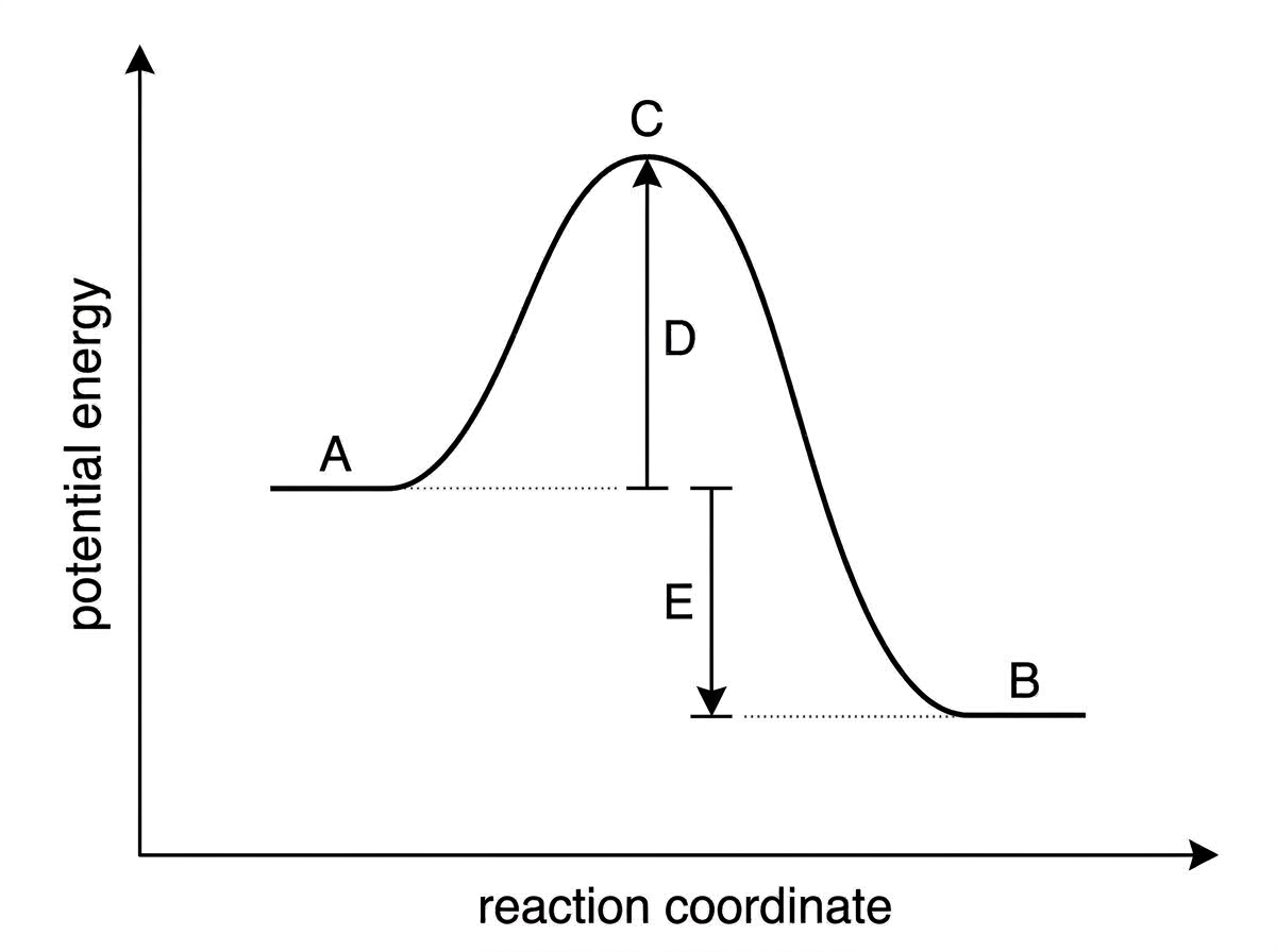 An energy profile diagram with potential energy on the vertical axis and reaction coordinate on the horizontal axis. Reactants, products, peak of the curve, activation energy arrow, and enthalpy change arrow are labelled with letters but not named. Products should be at a lower potential energy than reactants.