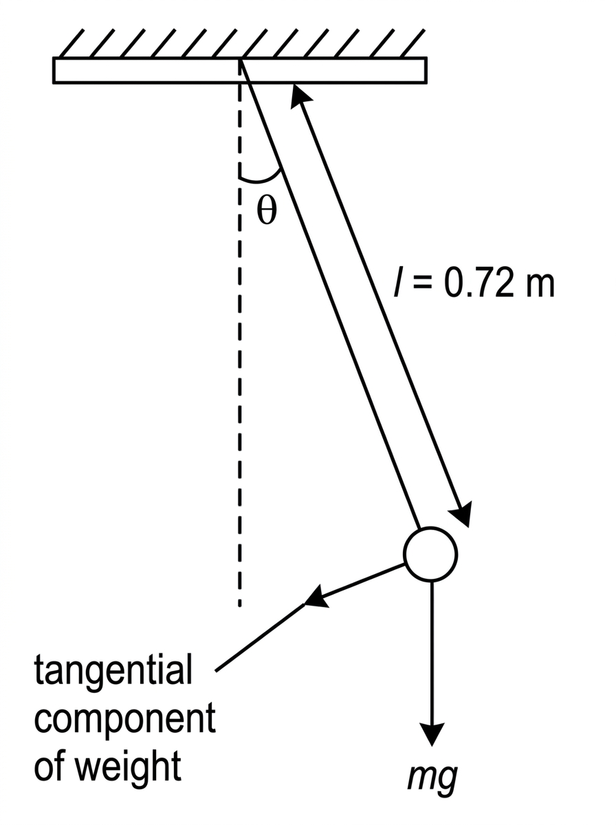 A simple pendulum diagram with a fixed pivot, a light string of length labelled $l$, and a small bob displaced to one side by a small angular displacement labelled $\theta$. The equilibrium vertical line is shown as a dashed line. The tangential component of weight acts towards the equilibrium position, but no final formula is written on the diagram.