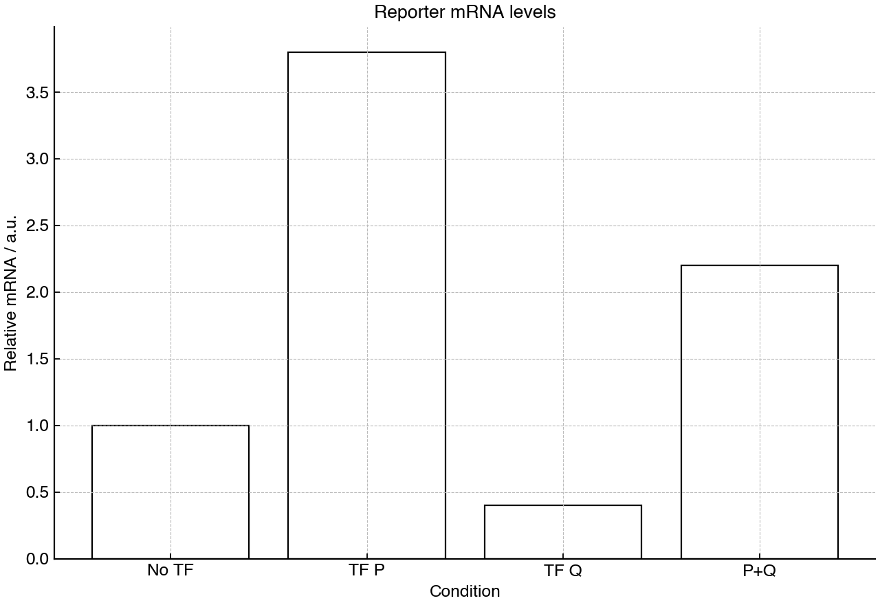 Bar chart showing relative reporter mRNA levels under different transcription factor conditions.