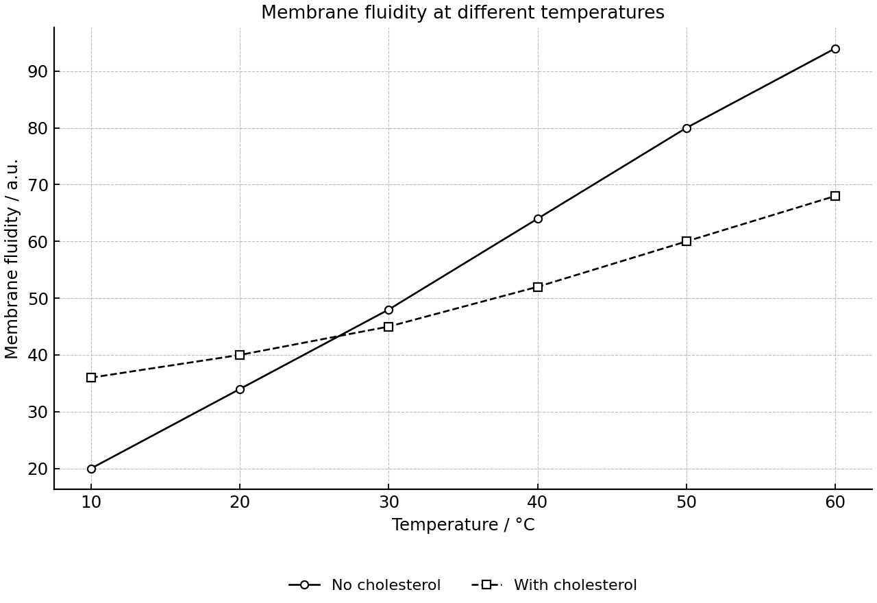 Relative membrane fluidity of liposomes with and without cholesterol across temperatures.