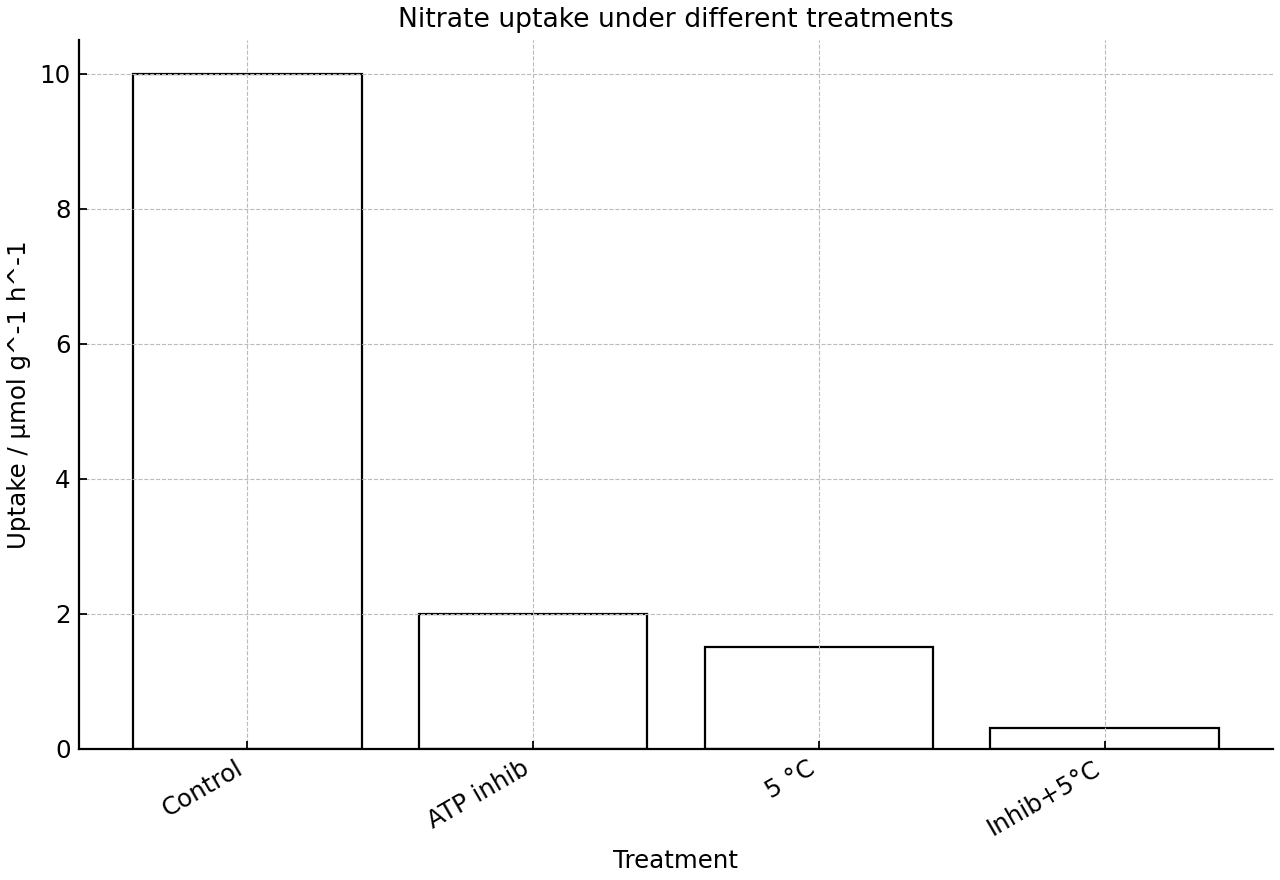 Bar chart of nitrate uptake rate in root epidermal cells under four treatments.