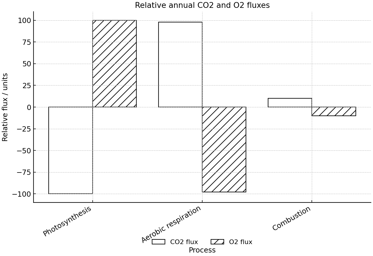 Grouped bar chart of relative annual CO2 and O2 fluxes for three processes.