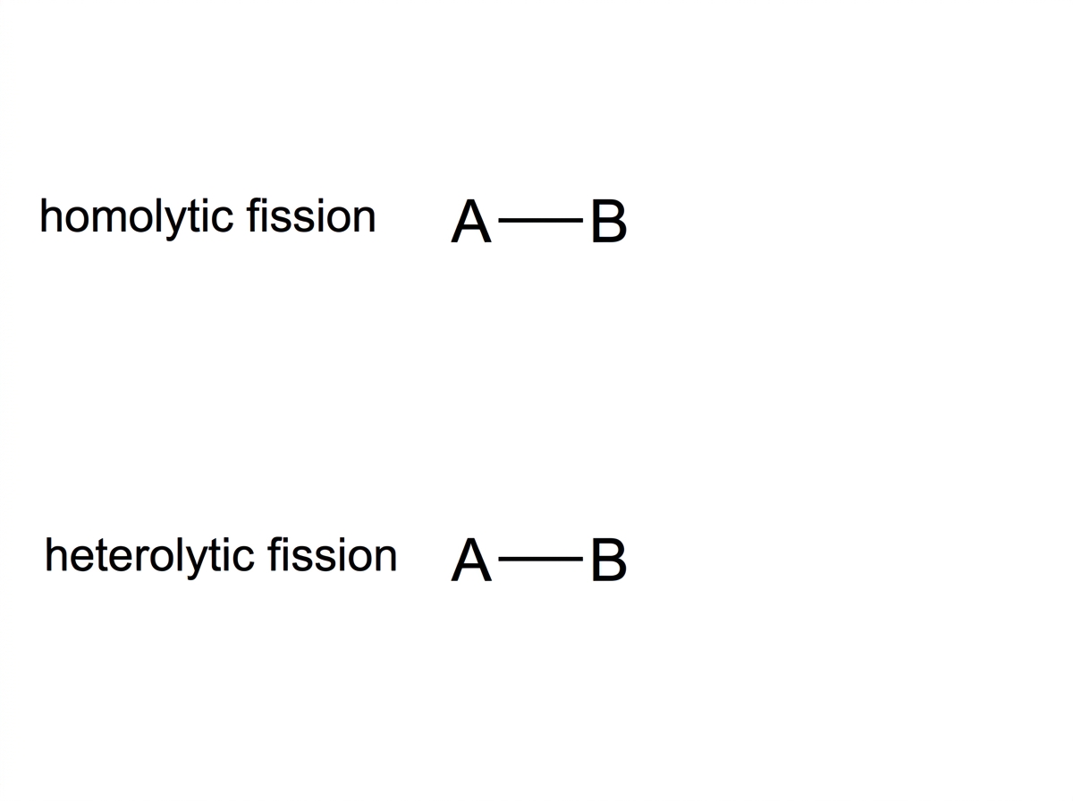 Two separate generic covalent bonds labelled A--B in parallel, with blank space for products. One pathway is labelled homolytic fission and the other heterolytic fission; no products, charges or radical dots are shown.